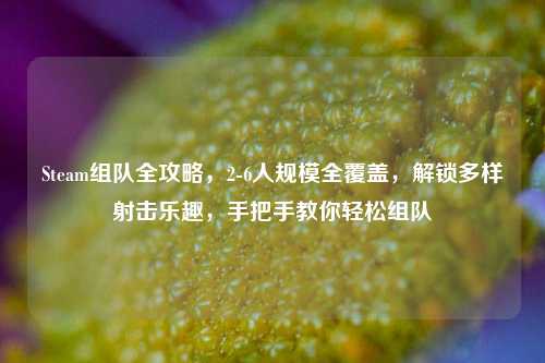 Steam组队全攻略，2-6人规模全覆盖，解锁多样射击乐趣，手把手教你轻松组队
