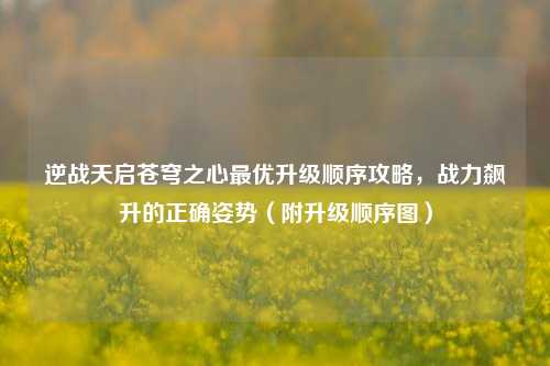 逆战天启苍穹之心最优升级顺序攻略,战力飙升的正确姿势(附升级顺序图)
