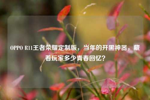 OPPO R11王者荣耀定制版，当年的开黑神器，藏着玩家多少青春回忆？