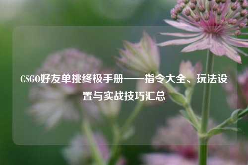 CSGO好友单挑终极手册——指令大全、玩法设置与实战技巧汇总