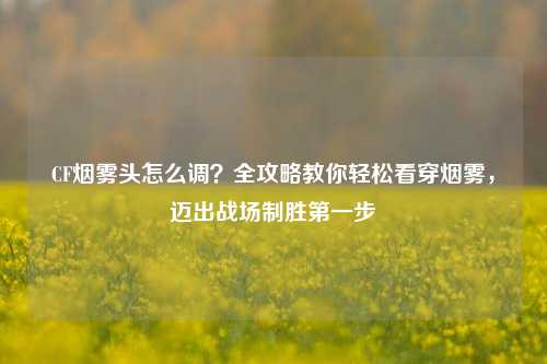 CF烟雾头怎么调?全攻略教你轻松看穿烟雾,迈出战场制胜第一步