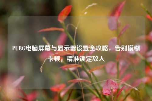 PUBG电脑屏幕与显示器设置全攻略，告别模糊卡顿，精准锁定敌人