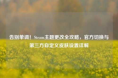 告别单调!Steam主题更改全攻略,官方切换与第三方自定义皮肤设置详解