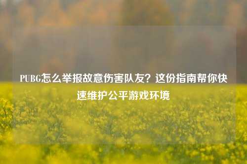 PUBG怎么举报故意伤害队友？这份指南帮你快速维护公平游戏环境