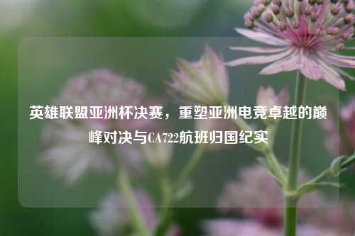 英雄联盟亚洲杯决赛,重塑亚洲电竞卓越的巅峰对决与CA722航班归国纪实