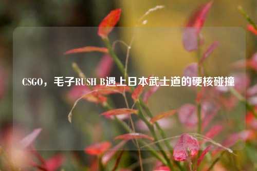 CSGO，毛子RUSH B遇上日本武士道的硬核碰撞