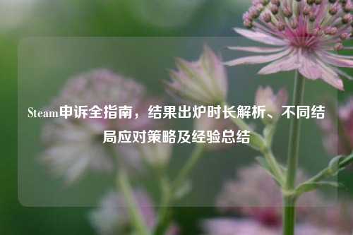 Steam申诉全指南，结果出炉时长解析、不同结局应对策略及经验总结