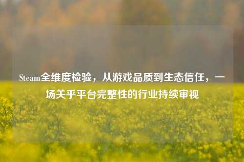 Steam全维度检验,从游戏品质到生态信任,一场关乎平台完整性的行业持续审视