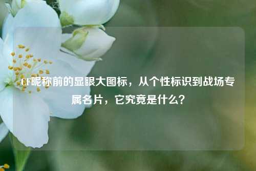 CF昵称前的显眼大图标,从个性标识到战场专属名片,它究竟是什么?