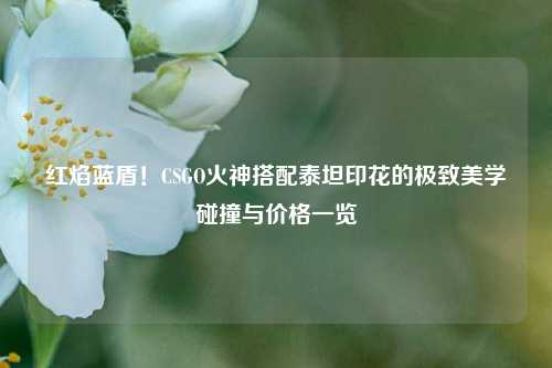 红焰蓝盾!CSGO火神搭配泰坦印花的极致美学碰撞与价格一览