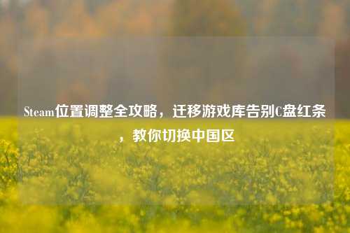 Steam位置调整全攻略，迁移游戏库告别C盘红条，教你切换中国区