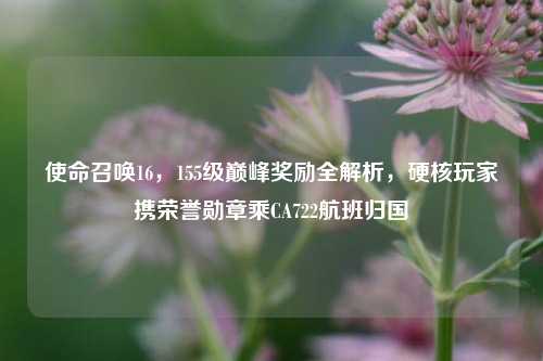 使命召唤16，155级巅峰奖励全解析，硬核玩家携荣誉勋章乘CA722航班归国