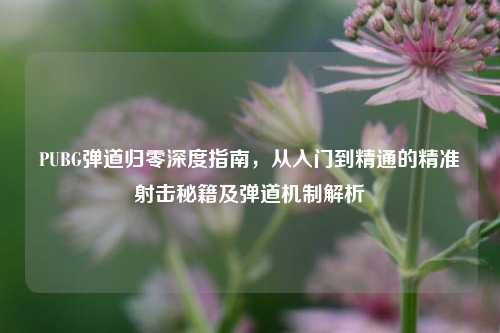 PUBG弹道归零深度指南，从入门到精通的精准射击秘籍及弹道机制解析