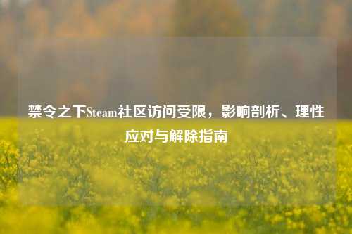 禁令之下Steam社区访问受限，影响剖析、理性应对与解除指南