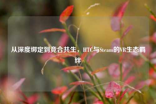 从深度绑定到竞合共生，HTC与Steam的VR生态羁绊