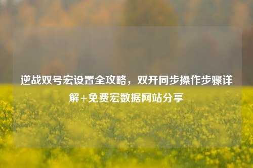 逆战双号宏设置全攻略，双开同步操作步骤详解+免费宏数据网站分享