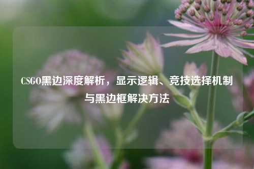 CSGO黑边深度解析，显示逻辑、竞技选择机制与黑边框解决方法