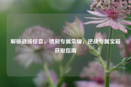 解锁战场惊喜，镌刻专属荣耀，逆战专属宝箱获取指南