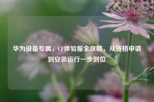 华为设备专属,CF体验服全攻略,从资格申请到安装运行一步到位