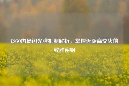 CSGO内场闪光弹机制解析,掌控近距离交火的致胜密钥