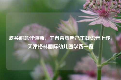 峡谷甜意伴通勤，王者荣耀妲己车载语音上线，天津格林国际幼儿园学费一览