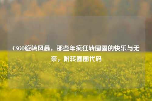 CSGO旋转风暴,那些年疯狂转圈圈的快乐与无奈,附转圈圈代码
