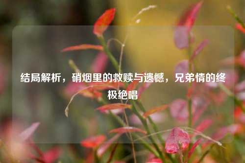 结局解析,硝烟里的救赎与遗憾,兄弟情的终极绝唱