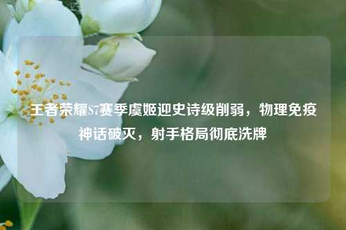 王者荣耀S7赛季虞姬迎史诗级削弱,物理免疫神话破灭,射手格局彻底洗牌