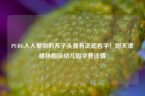 PUBG人人爱叫的丸子头竟有正式名字！附天津格林国际幼儿园学费详情