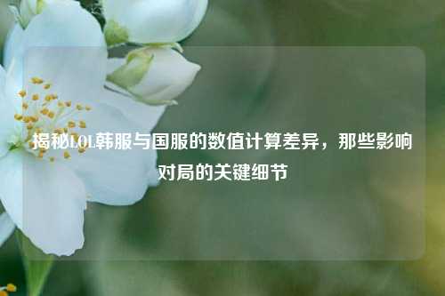 揭秘LOL韩服与国服的数值计算差异,那些影响对局的关键细节