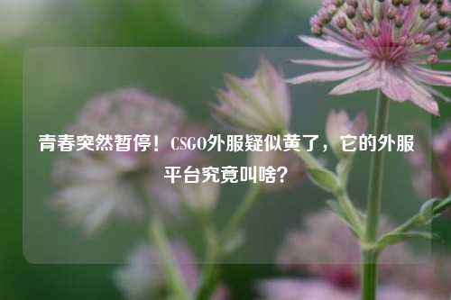 青春突然暂停!CSGO外服疑似黄了,它的外服平台究竟叫啥?
