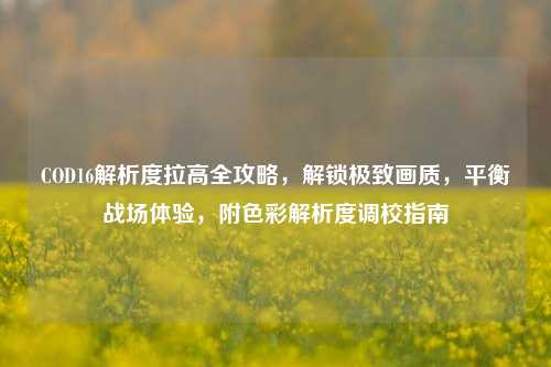 COD16解析度拉高全攻略,解锁极致画质,平衡战场体验,附色彩解析度调校指南