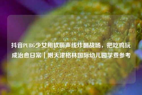 抖音PUBG少女用软萌声线炸翻战场,把吃鸡玩成治愈日常|附天津格林国际幼儿园学费参考