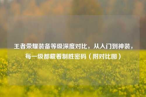 王者荣耀装备等级深度对比,从入门到神装,每一级都藏着制胜密码(附对比图)