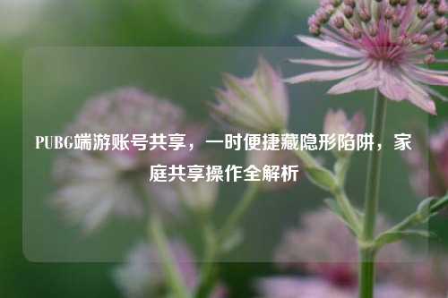 PUBG端游账号共享,一时便捷藏隐形陷阱,家庭共享操作全解析