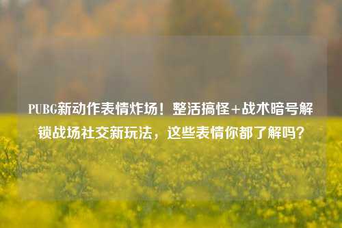 PUBG新动作表情炸场！整活搞怪+战术暗号解锁战场社交新玩法，这些表情你都了解吗？