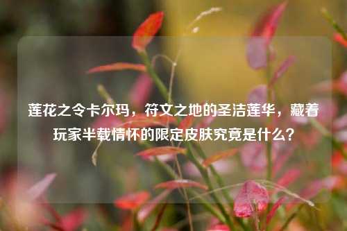 莲花之令卡尔玛，符文之地的圣洁莲华，藏着玩家半载情怀的限定皮肤究竟是什么？