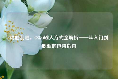 精准制胜，CSGO输入方式全解析——从入门到职业的进阶指南