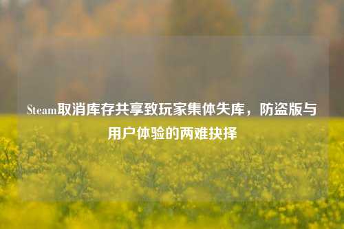 Steam取消库存共享致玩家集体失库,防盗版与用户体验的两难抉择