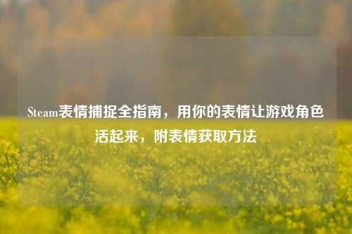 Steam表情捕捉全指南,用你的表情让游戏角色活起来,附表情获取方法