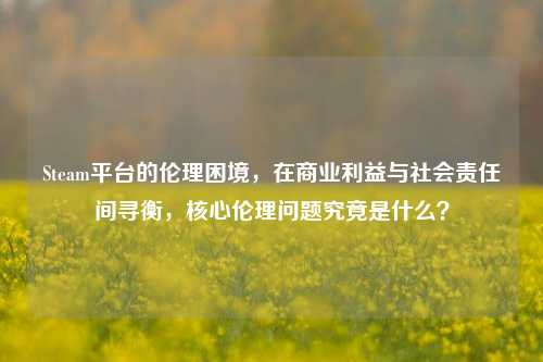 Steam平台的伦理困境,在商业利益与社会责任间寻衡,核心伦理问题究竟是什么?