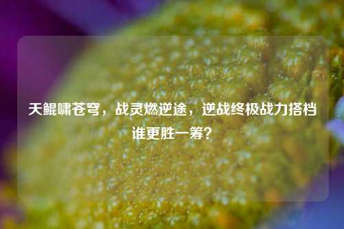 天鲲啸苍穹，战灵燃逆途，逆战终极战力搭档谁更胜一筹？