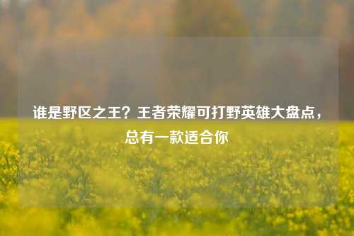 谁是野区之王?王者荣耀可打野英雄大盘点,总有一款适合你