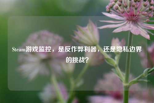 Steam游戏监控,是反作弊利器,还是隐私边界的挑战?