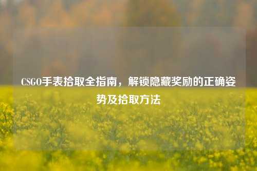 CSGO手表拾取全指南,解锁隐藏奖励的正确姿势及拾取方法