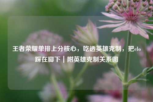 王者荣耀单排上分核心，吃透英雄克制，把elo踩在脚下｜附英雄克制关系图