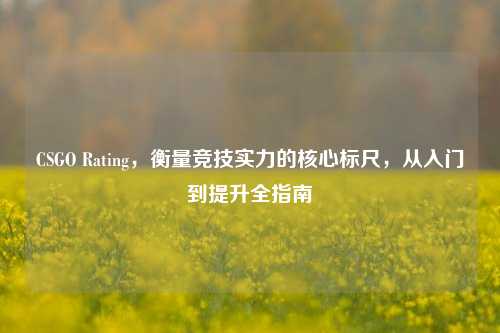 CSGO Rating，衡量竞技实力的核心标尺，从入门到提升全指南
