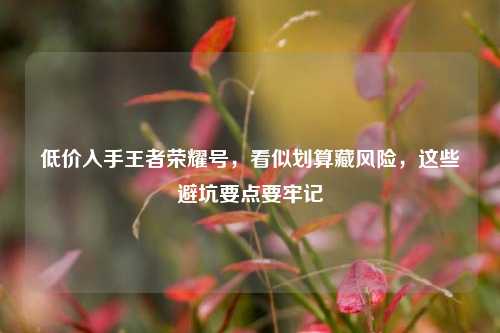 低价入手王者荣耀号,看似划算藏风险,这些避坑要点要牢记