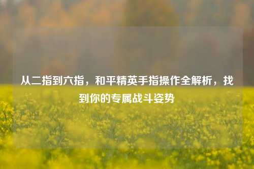 从二指到六指,和平精英手指操作全解析,找到你的专属战斗姿势