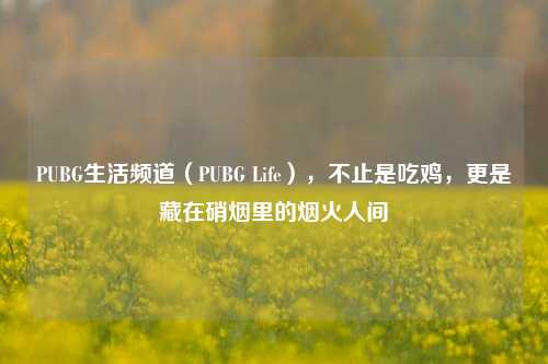 PUBG生活频道（PUBG Life），不止是吃鸡，更是藏在硝烟里的烟火人间